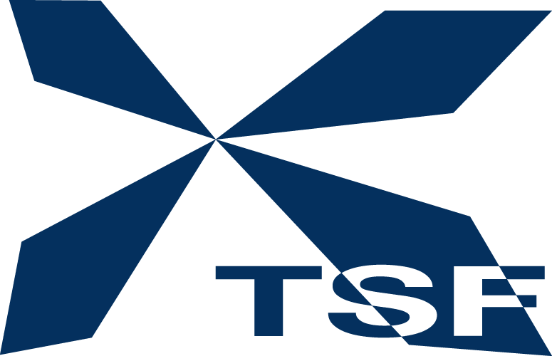 TSF-BUSINBESS
